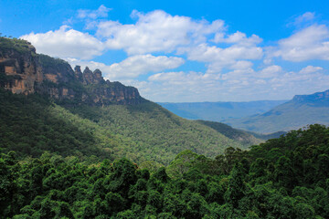 Fototapeta na wymiar Deep forest in the Blue Mountains National Park near Sydney, Australia. The famous tourist attraction is a paradise for wild nature, hiking, lush forests and pure wilderness. 