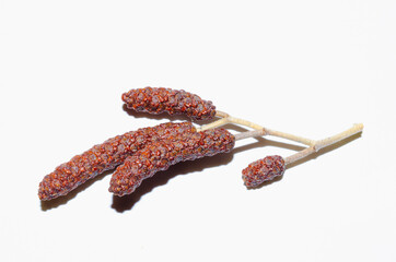 Alder (Alnus) - alder earrings with a twig.