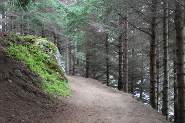  Les iles Lofoten Norvège