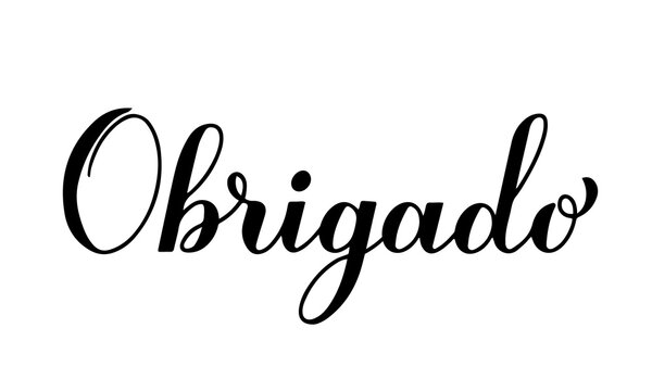 Thank you calligraphy hand lettering in Portuguese language isolated on white background. Vector template for wedding thank you card, tag, banner, poster, label, sticker etc - Powered by Adobe