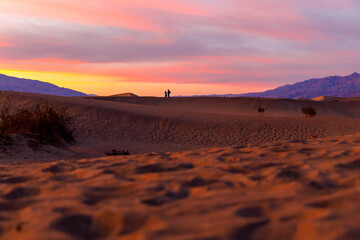 sunset in the desert