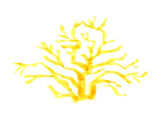 Hand Drawn Coral Illustration. Watercolor yellow sea corals isolated on a white background. Clip art work for design.