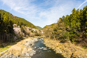 Fototapeta na wymiar (東京都ｰ風景)御岳渓谷の風景４