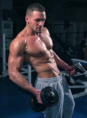 Fototapeta na wymiar Attractive sports workout with dumbbells in gym. Sporty lifestyle.