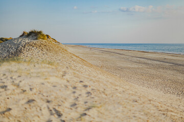 Dunes and Beach on Ocean Background