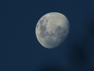 moon on the light sky
