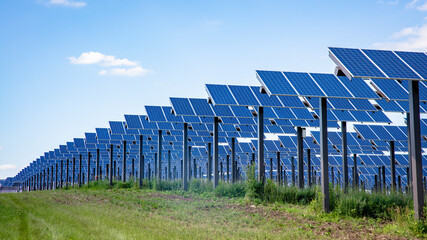 rows of solar panels in sunlight