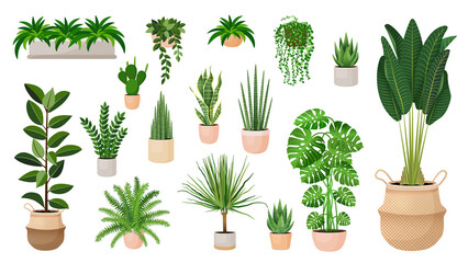 Set of houseplants in a pots for home, office, premises decor. Colorful vector collection of illustrations isolated on white background. Trendy home decor with plants, urban jungle.