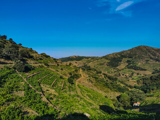 Fototapeta na wymiar view of the vineyard hills in the mountains