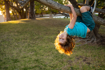 Young kid boy playing and climbing a tree and hanging upside down. Teen boy playing in a park.