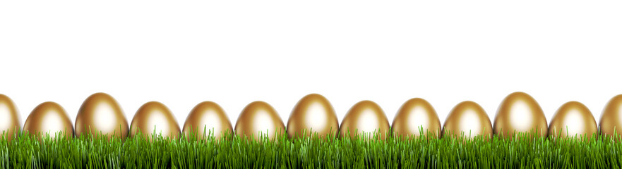 Goldene Ostereier in Frühlingswiese isoliert auf weißem Hintergrund - Panorama Banner