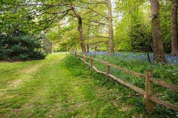Path lined with a rustic wooden fence in a park on a spring day. Beautiful wildflowers. Concept of peacefulness.