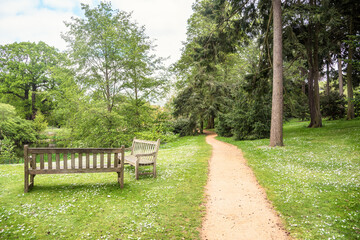 Deserted footpath running  through flowery meadows and woods in a park in spring. Two empty...