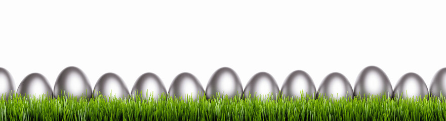 Silberne Ostereier in Frühlingswiese isoliert auf weißem Hintergrund - Panorama Banner