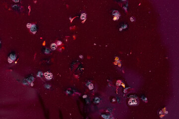 Wine material, grape juice - must, stum, maun. Technology of wine production in Moldova. The folk tradition of making wine.