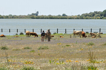 Two tourists photographing a rural landscape with a lagoon in the background. Dehesa de Abajo (La Puebla del R&iacute;o, Spain).