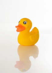 Yellow bath rubber duck, on a mirrored white floor, in front of a white background