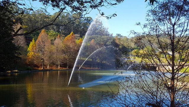 Paisagem nas montanhas com lago 