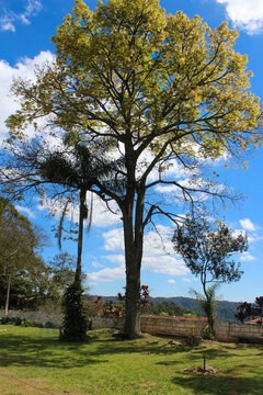 Paisagem nas montanhas