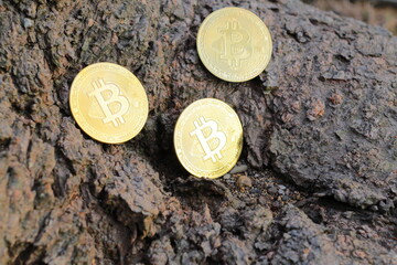 桜と光り輝く黄金のビットコインの仮想通貨
