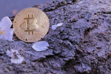 桜と光り輝く黄金のビットコインの仮想通貨