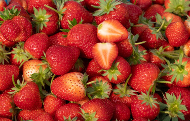 A lot of bright red strawberries from the garden.