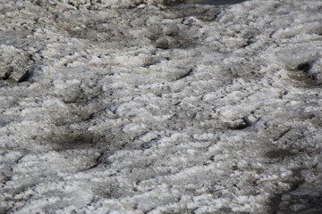 ice and snow on the beach