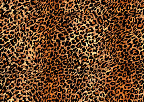abstract seamless leopard print texture design	
