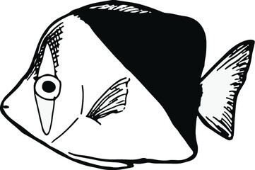 ティンカーズバタフライ