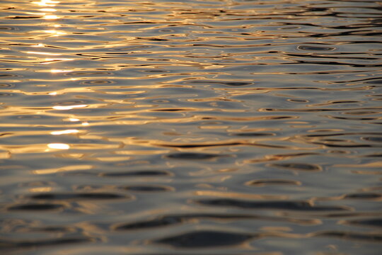 golden sunset light reflected on the water surface