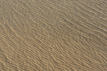 sand texture background.Sea water cover sand texture.A portion of picture blur due to sea wave.