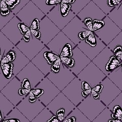 Fototapeta premium Beautiful butterflies on a graphic background. Dotted line. Isolated background.