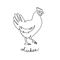 Fototapeta na wymiar chicken breeding. animal husbandry. livestock. vector sketch on a white background