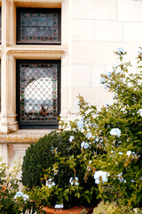 Fototapeta na wymiar Flowers and bushes near the window of the old castle