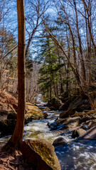 Smokey Hollow waterfalls, First day of Spring