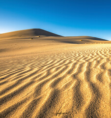 sand dunes in park