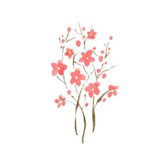 Watercolour drawing.