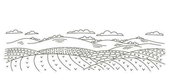 Seedlings fields landscape. Countryside rural landscape. Growing vegetables garden rows. Agriculture. Vector contour sketch line. Young plants. © Ilia