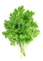 Fresh parsley herb leaves isolated on white background.