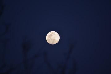 A full moon