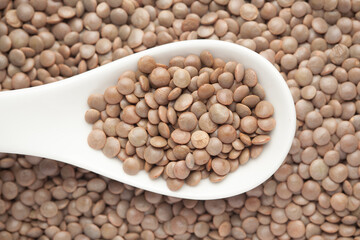 Obraz premium Macro Close up of Organic masoor dal (Lens culinaris) or whole brown dal on a white ceramic soup spoon. Top view