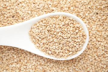 Macro Close up of Organic White Sesame seeds(Sesamum indicum) or white Til with shell on a white ceramic soup spoon. Top view