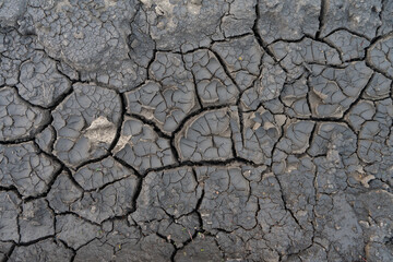 Texture soil dry crack background pattern of drought lack of water of nature white black old broken.