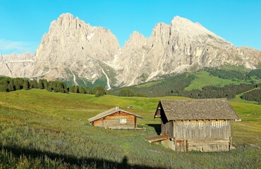 Rocky Sassolungo-Sassopiatto (Langkofel-Plattkofel) on a sunny summer day with wooden barns on grassy hillside in Ortisei, Seiser Alm, Valley Gardena, Dolomiti National Park, South Tyrol, Italy Europe