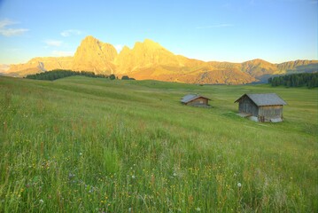 Majestic sunset scenery of Seiser Alm Highland ( Alpe di Siusi ) with rugged Sassolungo-Sassopiatto...