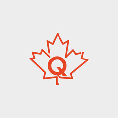 logo letter q with icon maple leaf vector	
