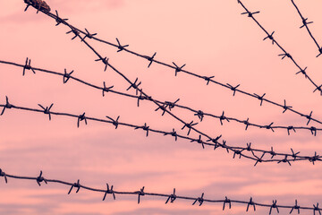 Restriction of liberty, prison, barbed wire. Fence with metal cables with spikes against the sunset sky