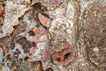 Rock paintings, petroglyphs near the Kherson lighthouse. Crimea