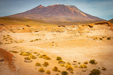 Fototapeta na wymiar volcanic landscape in bolivia, altiplano, 