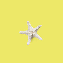 Fototapeta na wymiar Starfish isolated on Yellow background, Clipping Path